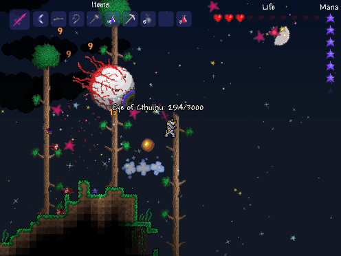 Terraria-496